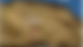 Übesicht Klettergarten Spielmäuer