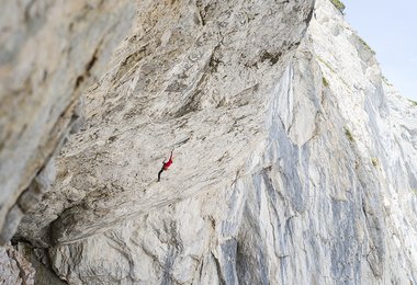 Angelika Rainer in "French Connection", D15- (c)  mmARts Michael Maili