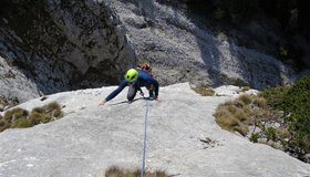 Inschallah Krottenseemauern