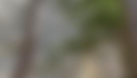 Wandübersicht Hohe Stube