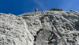 Im oberen Teil der Fields of Gold - Issplatten