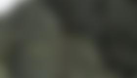 Übersicht Zahringkogel