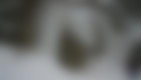 Die Übungs-Fälle im Seetal