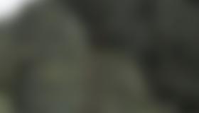 Übersicht Zahrinkogel Westwand