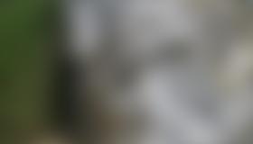 Übersicht Weissenstein