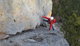 In der als Wienerplatte bezeichneten Verschneidung