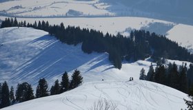 Blick von oben auf den Rossfeldboden und die Nordhänge des Schwarzkogels