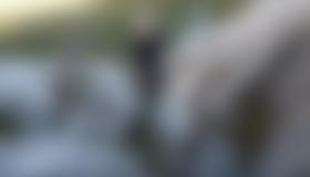 Die Leiter im unteren Teil