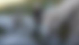 Die Leiter im unteren Teil