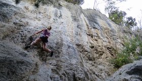 Birgit Auer in Carote, 6c