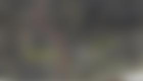 Detailübersicht Onkel Simon (c) Thomas Schranz