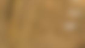 Wandübersicht Angerstein Südwestwand