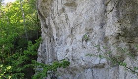 Der Ritterfels unterhalb der Burg Mödling