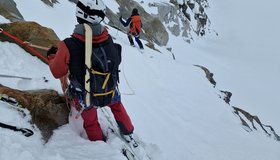 Es wird ein weg nach unten gesucht.