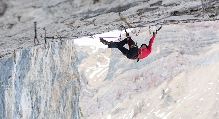 Angelika Rainer in "French Connection", D15- (c)  mmARts Michael Maili
